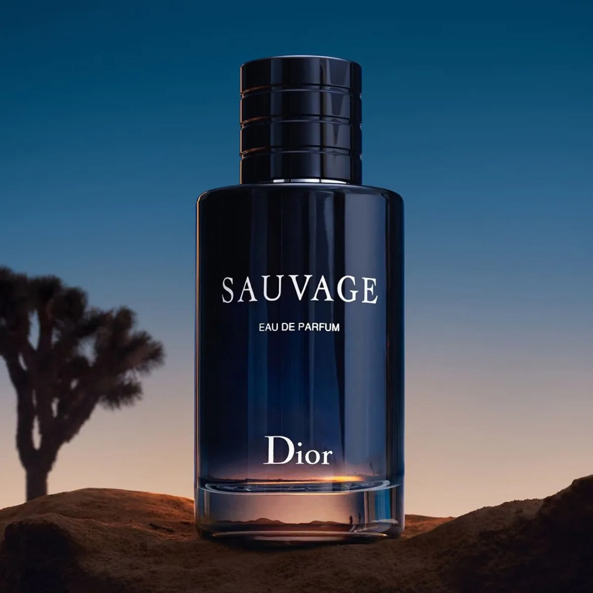 Dior Sauvage 200 ml Eau de Parfum - Herenparfum Dior Sauvage 200 ml Eau de Parfum - Herenparfum Dior Sauvage 200 ml Eau de Parfum - Herenparfum Dior Sauvage 200 ml Eau de Parfum - Herenparfum