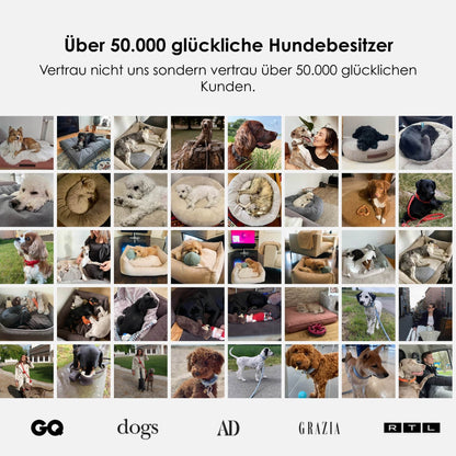 Orthopedisch hondenbed Easy