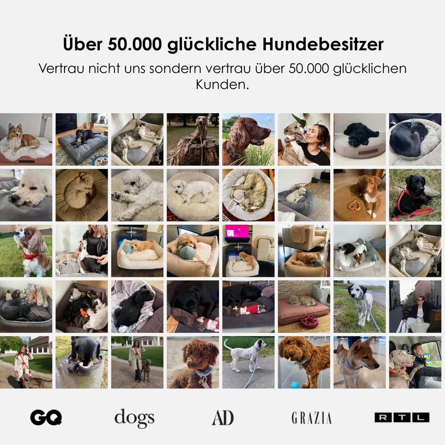 Gewoon orthopedisch hondenbed